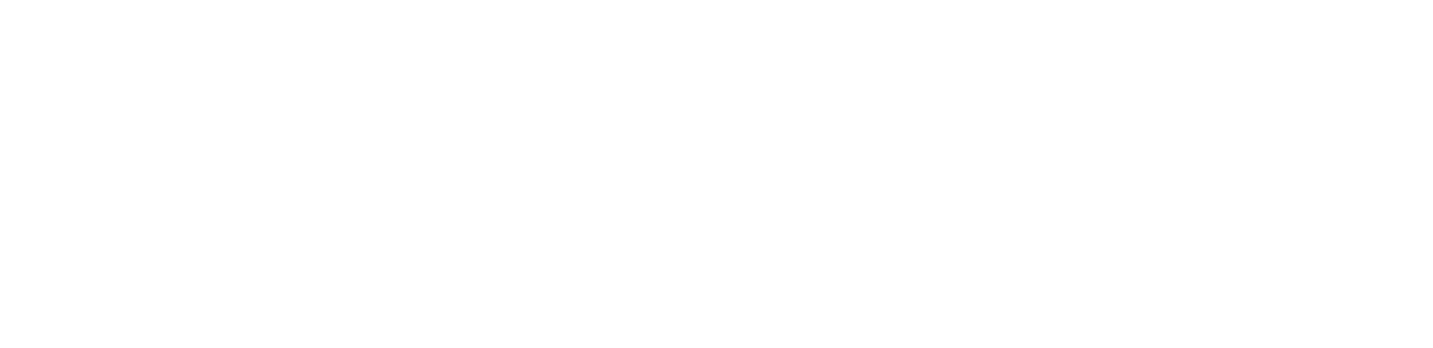 Caiman Subsurface